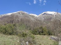 2026-04-18 Velino da S. Maria in Valle 000